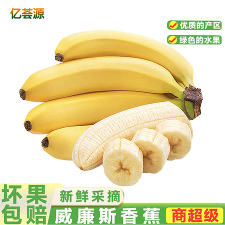 亿荟源 西双版纳威廉斯香蕉新鲜时令应季新鲜水果源产地直发图片
