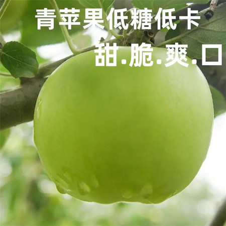 亿荟源 【现摘现发】青苹果新鲜时令应季新鲜水果源产地直发图片