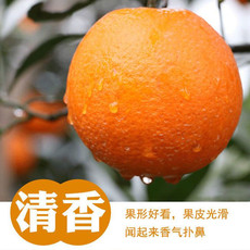 亿荟源 湖北秭归夏橙5斤-9斤时令新鲜当季水果甜橙果冻手剥橙