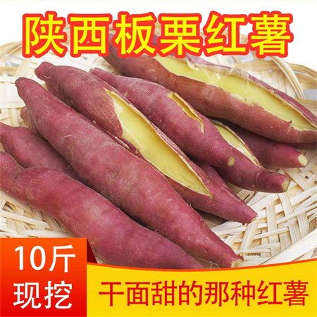 亿荟源 陕西板栗红薯新鲜番薯地瓜应季蔬菜杂粮图片