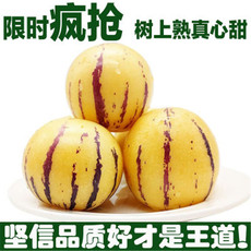 亿荟源 云南人参果树上熟黄肉水果应季时令水果新鲜水果产地直发