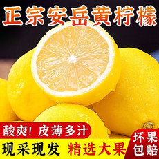 亿荟源 安岳黄柠檬新鲜水果中大果精品果源产地直发