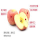 新鲜山东烟台红富士苹果脆甜冰糖心水果3/5/10斤带箱现货批发包邮