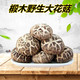 【野生大花菇500g】个大肉厚椴木花菇 香菇干货 干香菇 冬菇250克