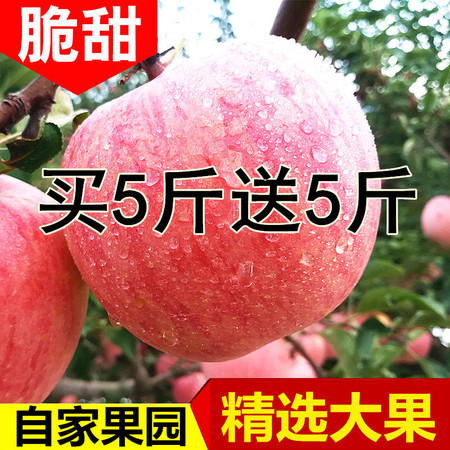 冰糖心红富士苹果当季水果新鲜包邮整箱红富士丑苹果