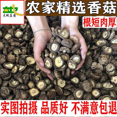 香菇干货特级干香菇100g新货野生蘑菇冬菇无根土特产山货散装