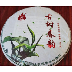 孟连芒中古茶古树春韵