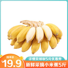 【领劵立减5元】香蕉 广西小米蕉 5斤装 芭蕉 新鲜水果 生鲜