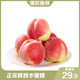  【领券立减10元】陕西露天水蜜桃5斤（泡沫托包装）当季鲜果桃