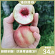  【领券立减10元】珍珠枣油桃3斤装新鲜水果桃子油桃