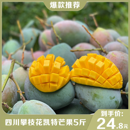 【领劵立减9元】四川攀枝花凯特大甜心芒果 当季新鲜水果现摘现发