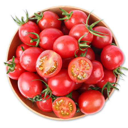 【】广西露天圣女果 千禧果 圣女果小西红柿小番茄图片