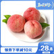  【领劵立减10元】陕西水蜜桃毛桃新鲜水果桃子4.5-5斤邮乡甜