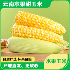  【活动价5斤19.9】 邮乡甜 云南金银新鲜水果玉米