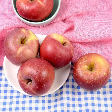 盐源丑苹果5斤包邮 大凉山脆甜苹果部分冰糖心新鲜水果苹果