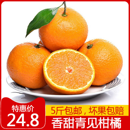 【48小时发货】四川青见柑橘5斤包邮 新鲜桔子柑橘桔子 新鲜时令水果图片