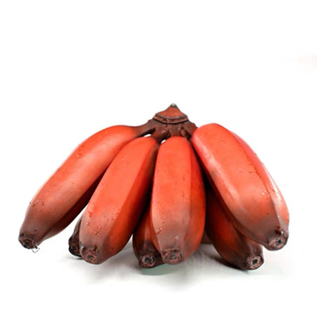 优野滋  漳州红美人香蕉红皮香蕉5斤装 约15-25根 需要催熟