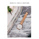 Daniel Wellington DW女表32mm白表盘金色边金色钢带 DW00100163