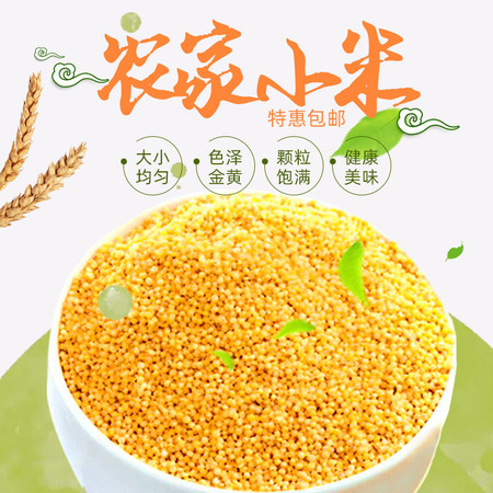 黄土情 袋装黄小米500g*2 1000克