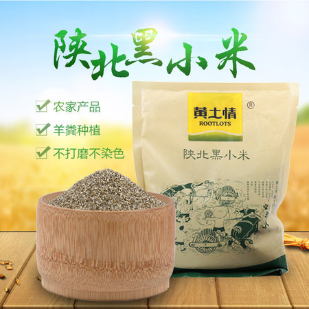 黄土情 袋装黑小米500g*2 1000克