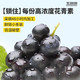 王饱饱 【帕梅拉推荐】巴西莓粉花青素果蔬纤维粉冲饮品独立包装3.5g