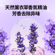 蔬果园/SukGarden 维多利亚玫瑰精油香氛内衣洗衣液组合