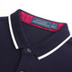 Royal Palm Polo Sports Club男士秋季条纹T恤长袖POLO衫13753105