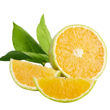 誉福园 湖北秭归新鲜夏橙3斤榨汁鲜橙图片