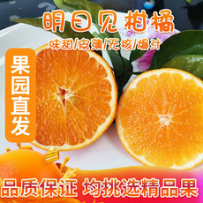 【新鲜上市】 明日见柑橘当季新鲜水果 邮乡甜