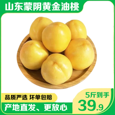  爆款【5斤39.9元】 邮乡甜 山东蒙阴黄金油桃