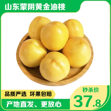 爆款【5斤37.8元】 邮乡甜 山东蒙阴黄金油桃