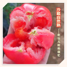 农家自产 新鲜采摘沙瓤酸甜可口西红柿5斤