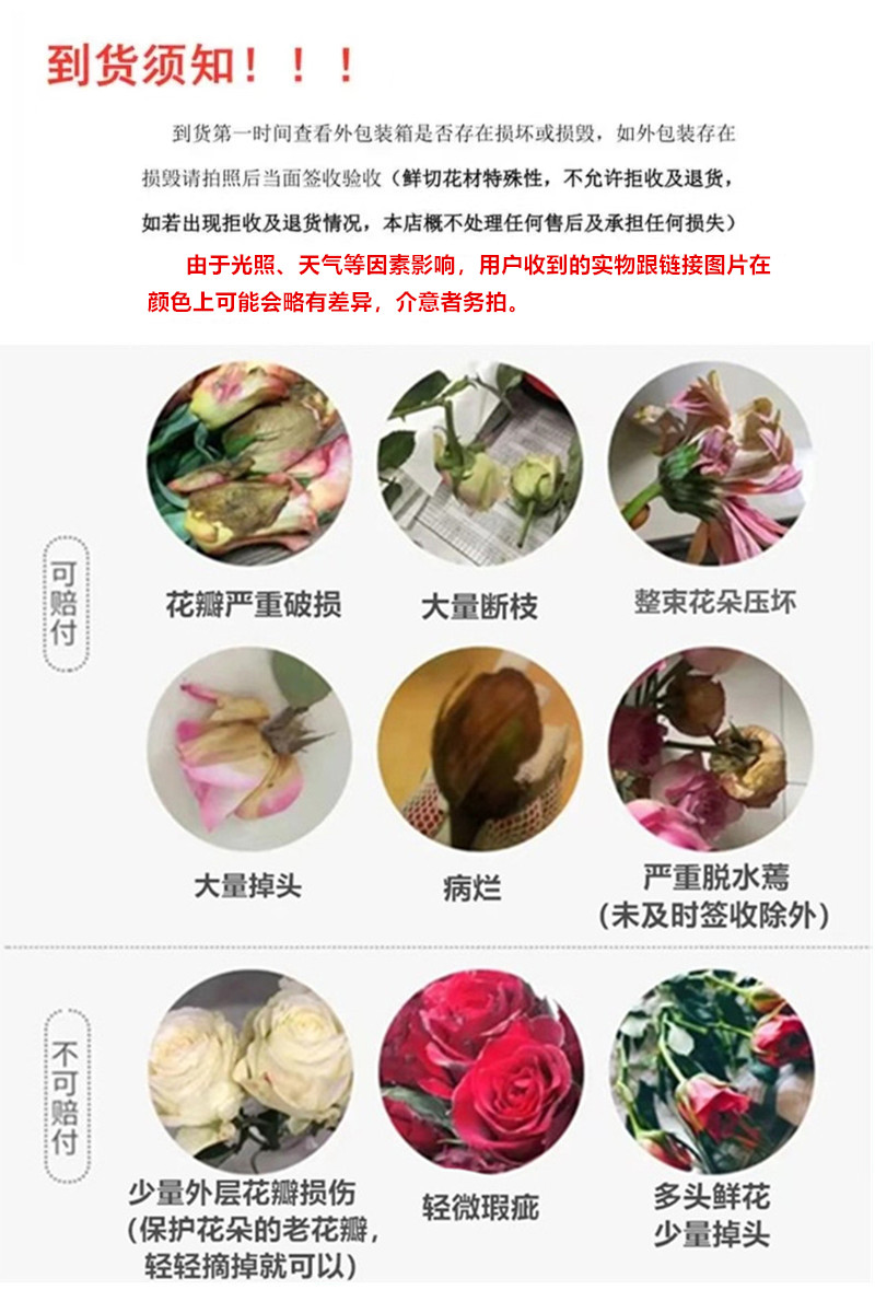 农家自产 菏泽牡丹芍药鲜切花 与花诉说关于春天的故事