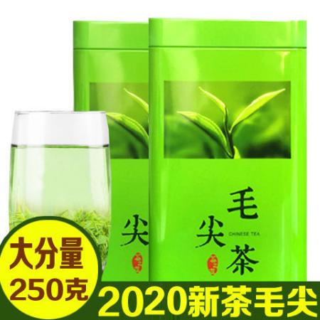 毛尖茶2020新茶信阳绿茶茶叶高山云雾嫩芽手工茶浓香型125g-500g图片