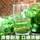 毛尖茶2020新茶信阳绿茶茶叶高山云雾嫩芽手工茶浓香型125g-500g