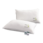 芳恩 健康枕/A级安心睡眠对枕头（2只） FN-R7004-1/R7016-1