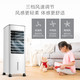 美的/MIDEA 空调扇AC100-18D