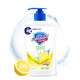 舒·肤佳 洗手液柠檬清新型450ml除菌清洁