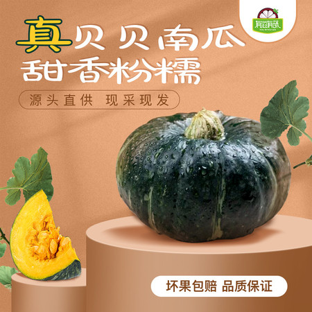 【有滋有菋 现摘现发】山东贝贝南瓜 新鲜当季板栗味进口宝宝辅食包邮图片