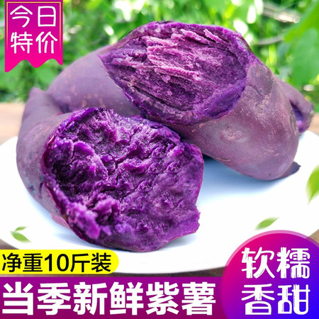 紫薯新鲜紫薯10斤山东紫薯紫地瓜红薯番薯3斤5斤10斤包邮