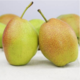 【顺丰包邮5斤装】香梨梨子梨新鲜水果源自新疆库尔勒红香酥梨苹果梨