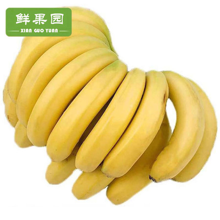 【3斤惠购】广西自然熟香蕉水果新鲜非苹果香焦小米粉芭蕉批发图片