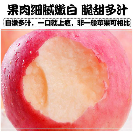 现摘现发红富士苹果新鲜水果应季好吃孕妇整箱批发5斤