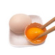 【48小时内发货】【新鲜速发-正宗土鸡蛋】正宗土鸡蛋散养农村柴鸡蛋（现捡新鲜）营养笨鸡蛋批发整箱