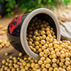 【急速发货】东北笨土黄豆2.5斤散装农家非转基因大豆子豆浆生豆芽小粒批发