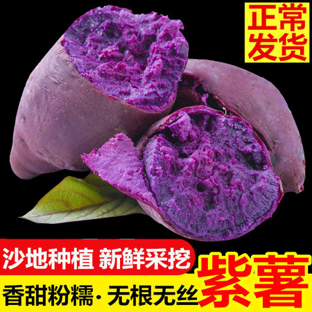 【香甜粉糯】沙地紫薯新鲜 番薯板栗红薯地瓜蜜薯蔬菜(2/5/10斤)