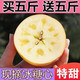 【买五送五】陕西苹果水果红富士10斤脆甜丑苹果批发整箱非烟台