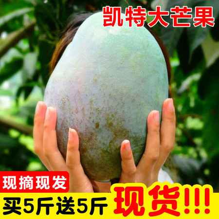 【48小时内发货】攀枝花凯特大芒果水果新鲜孕妇当季10斤整箱大青芒金煌5斤