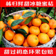 【48小时内发货】现摘当季新鲜水果冰糖蜜橘桔子薄皮无籽柑橘手剥橙甜柑子
