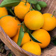 【10斤特惠】橙子10斤/5斤橙子新鲜当季水果手剥橙大甜橙赠剥橙器